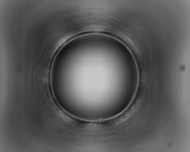 X0000100861081200806201211