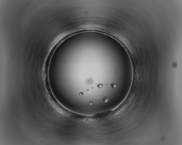 X0000100861082200806201211