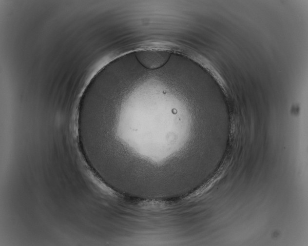 X0000100861083200806201211