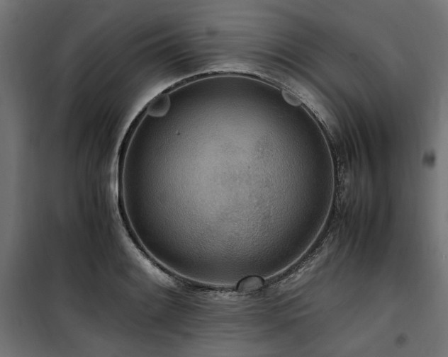 X0000100861084200806201211