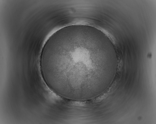 X0000100861086200806201211