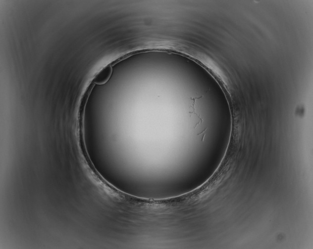 X0000100861088200806201211