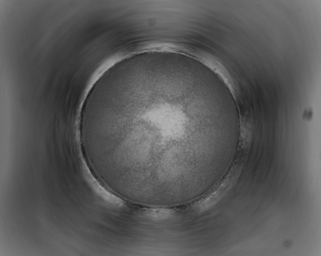 X0000100861090200806201211