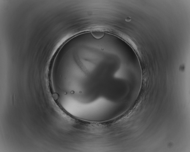 X0000100861091200806201211