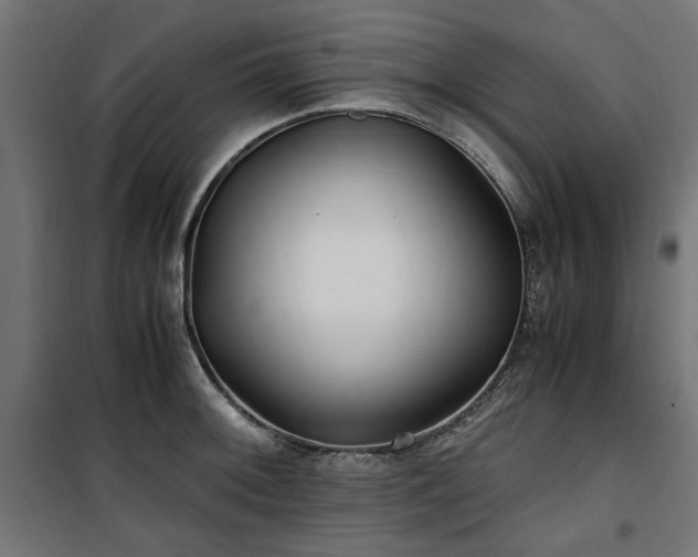 X0000100861092200806201211