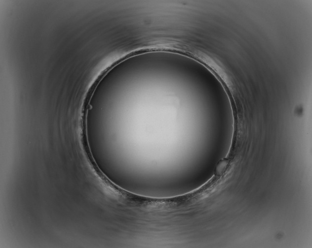 X0000100861093200806201211