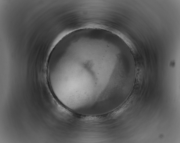 X0000100861094200806201211