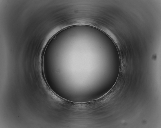 X0000100861096200806201211