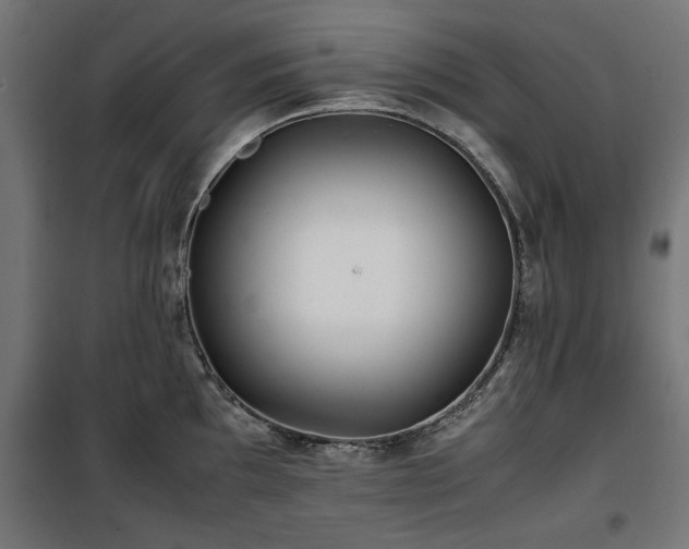 X0000100861097200806201211