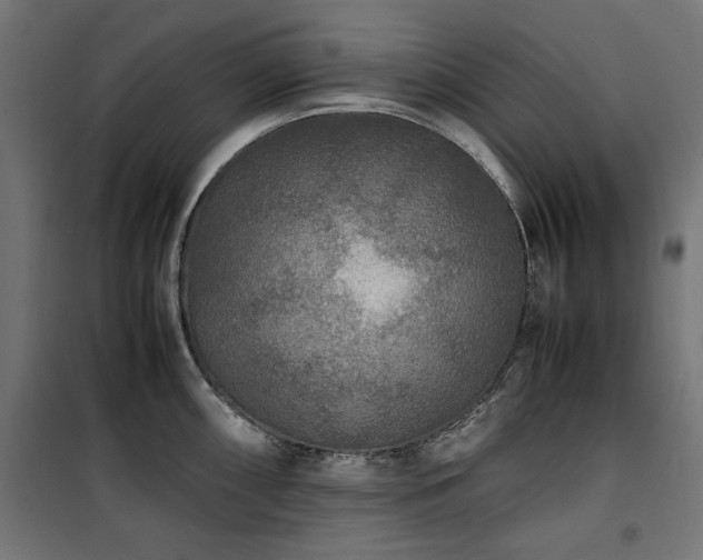 X0000100861098200806201211