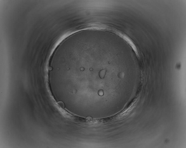 X0000100861099200806201211