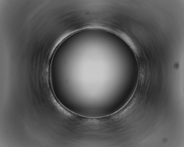 X0000100861100200806201211