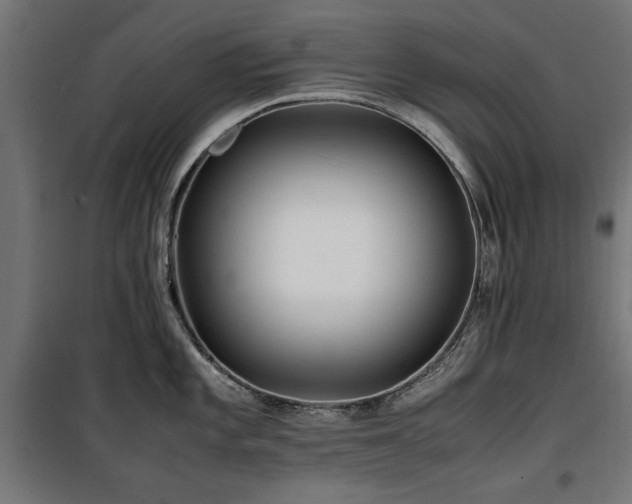 X0000100861101200806201211