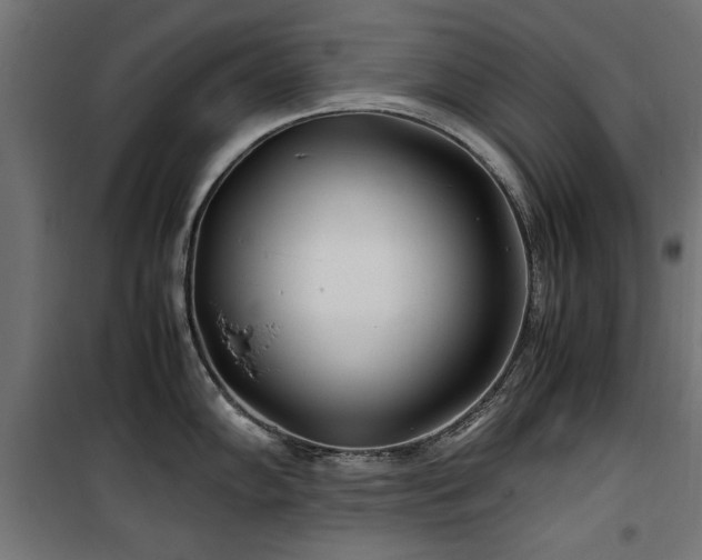 X0000100861102200806201211