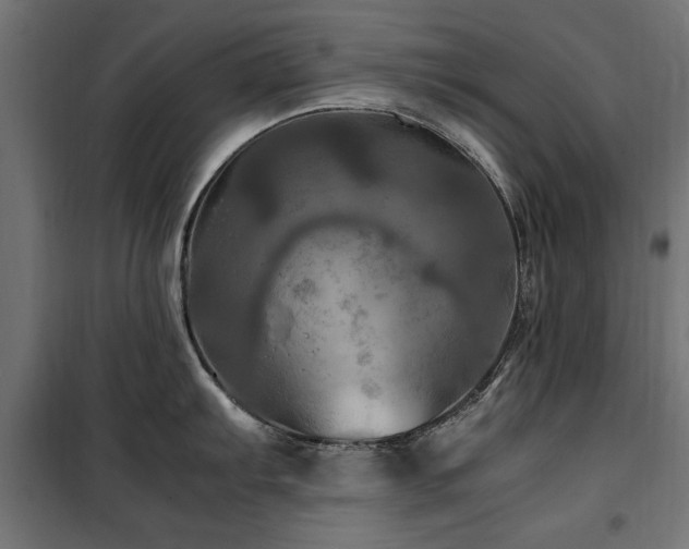 X0000100861103200806201211