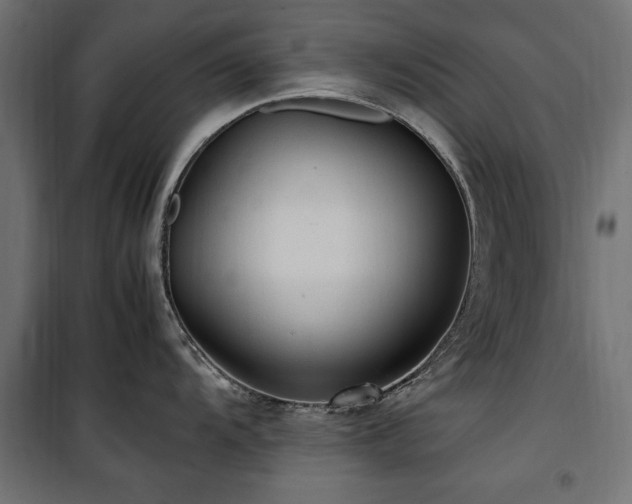 X0000100861104200806201211