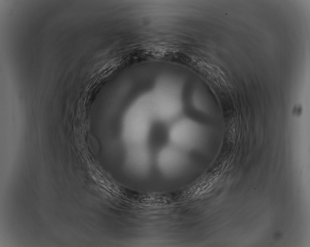 X0000100861105200806201210