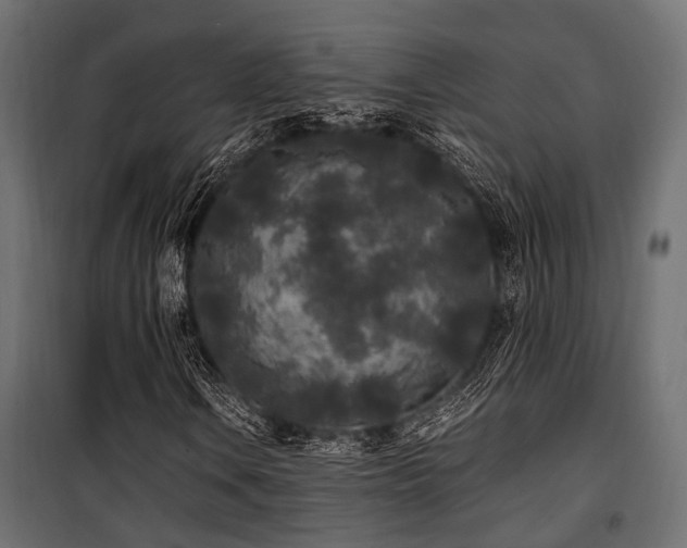 X0000100861106200806201210