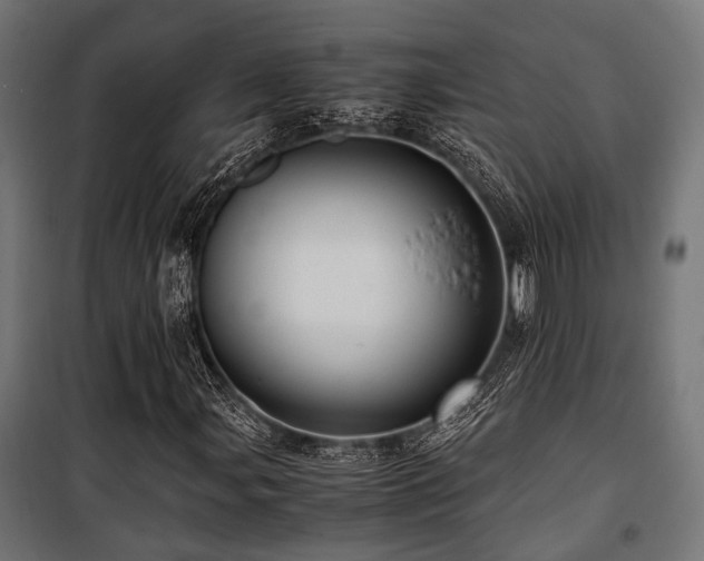 X0000100861107200806201210