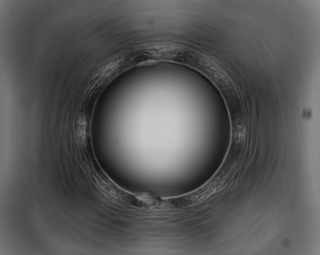 X0000100861108200806201210