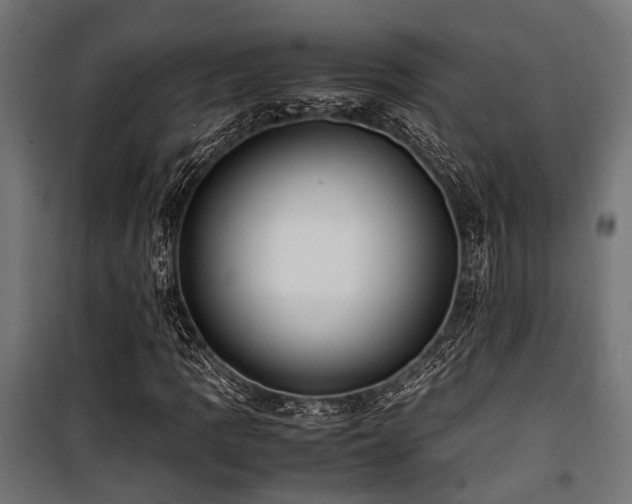 X0000100861109200806201210