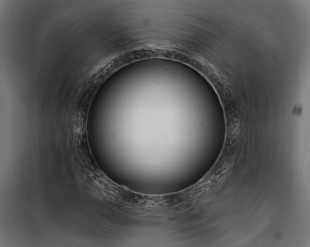 X0000100861110200806201210