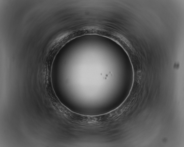 X0000100861111200806201210