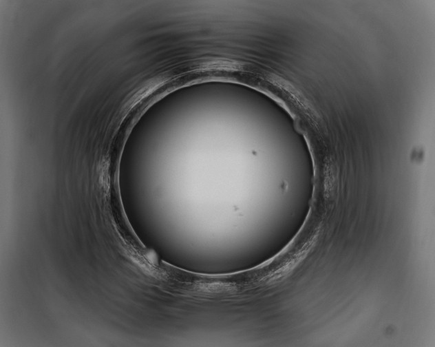 X0000100861113200806201210