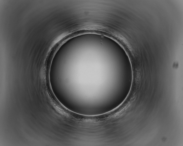 X0000100861114200806201210