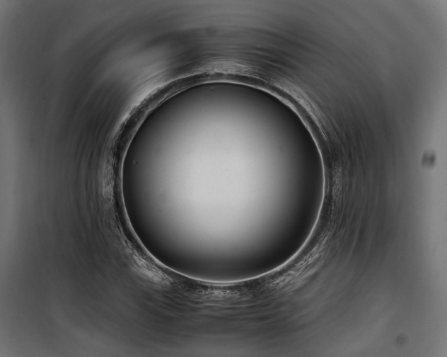 X0000100861115200806201210