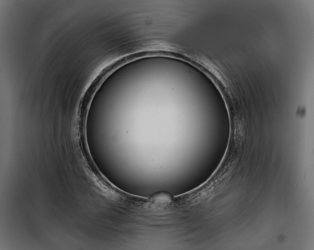 X0000100861116200806201210