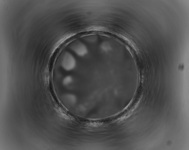 X0000100861117200806201210