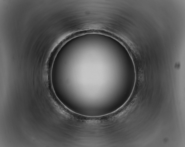 X0000100861118200806201210