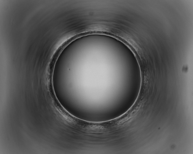 X0000100861119200806201210