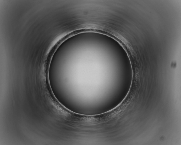 X0000100861120200806201210