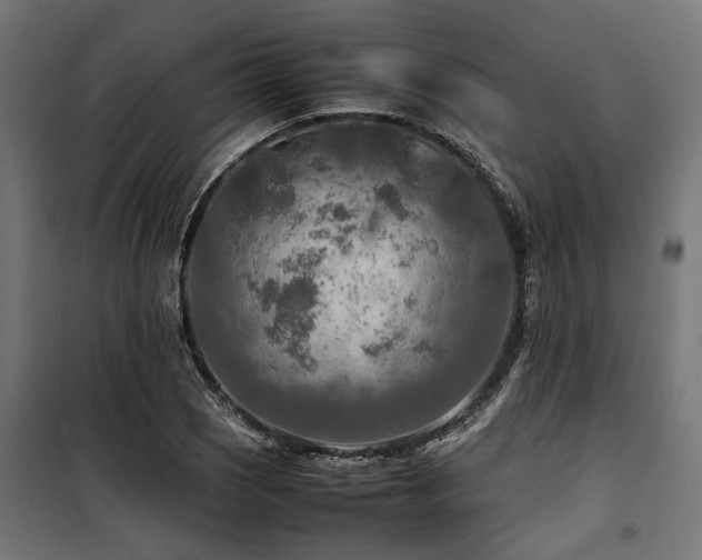 X0000100861121200806201210