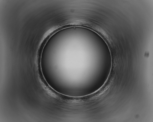 X0000100861122200806201210