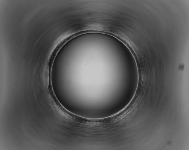 X0000100861123200806201210