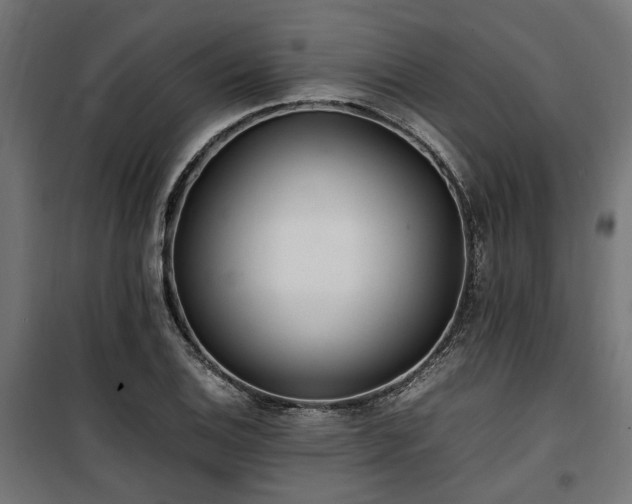 X0000100861124200806201210