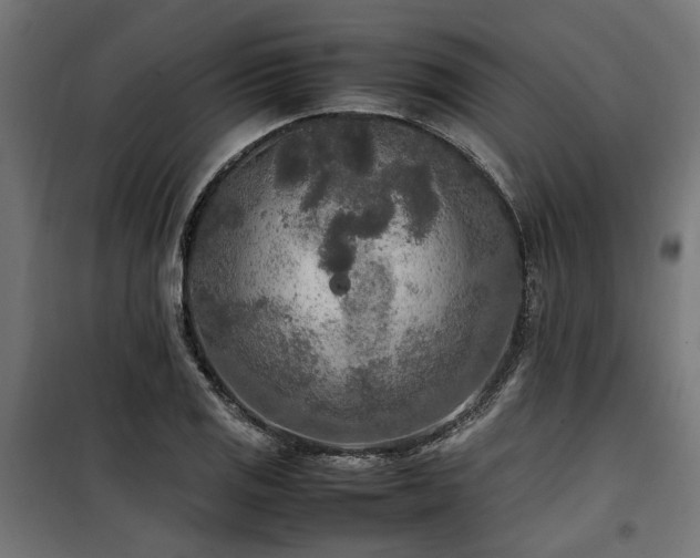 X0000100861125200806201210