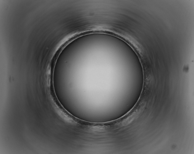 X0000100861126200806201210