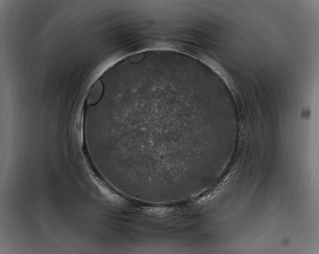 X0000100861127200806201210