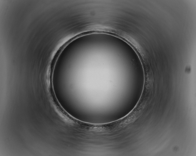 X0000100861128200806201210