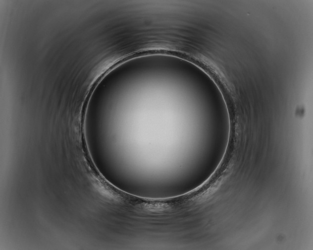 X0000100861129200806201210