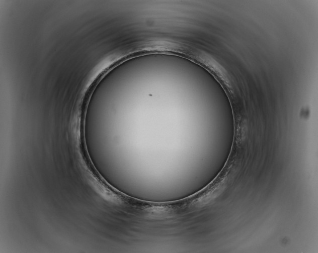 X0000100861130200806201210