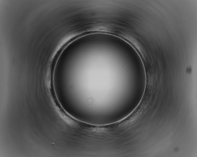 X0000100861131200806201210