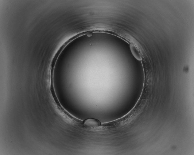 X0000100861132200806201210