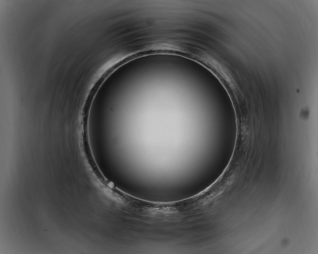 X0000100861133200806201210