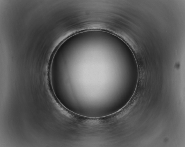 X0000100861134200806201210