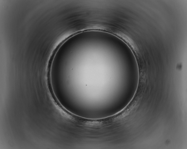 X0000100861135200806201210